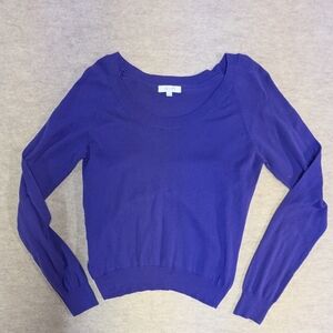 deLiAS Grape Purple Long Sleeve 100% Cotton Lightweight Sweater Y2K Size Large